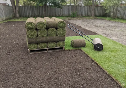 Sod, Seeding & Lawn Installation in Kitchener